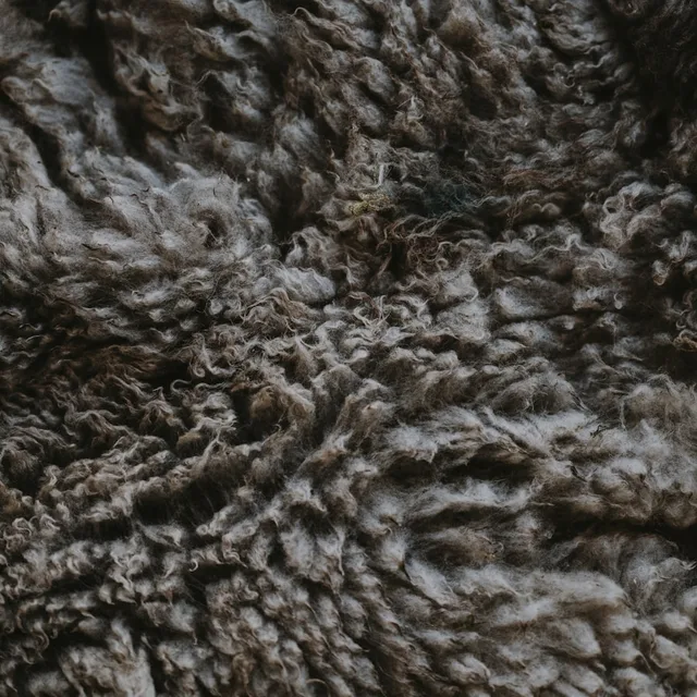 Мех